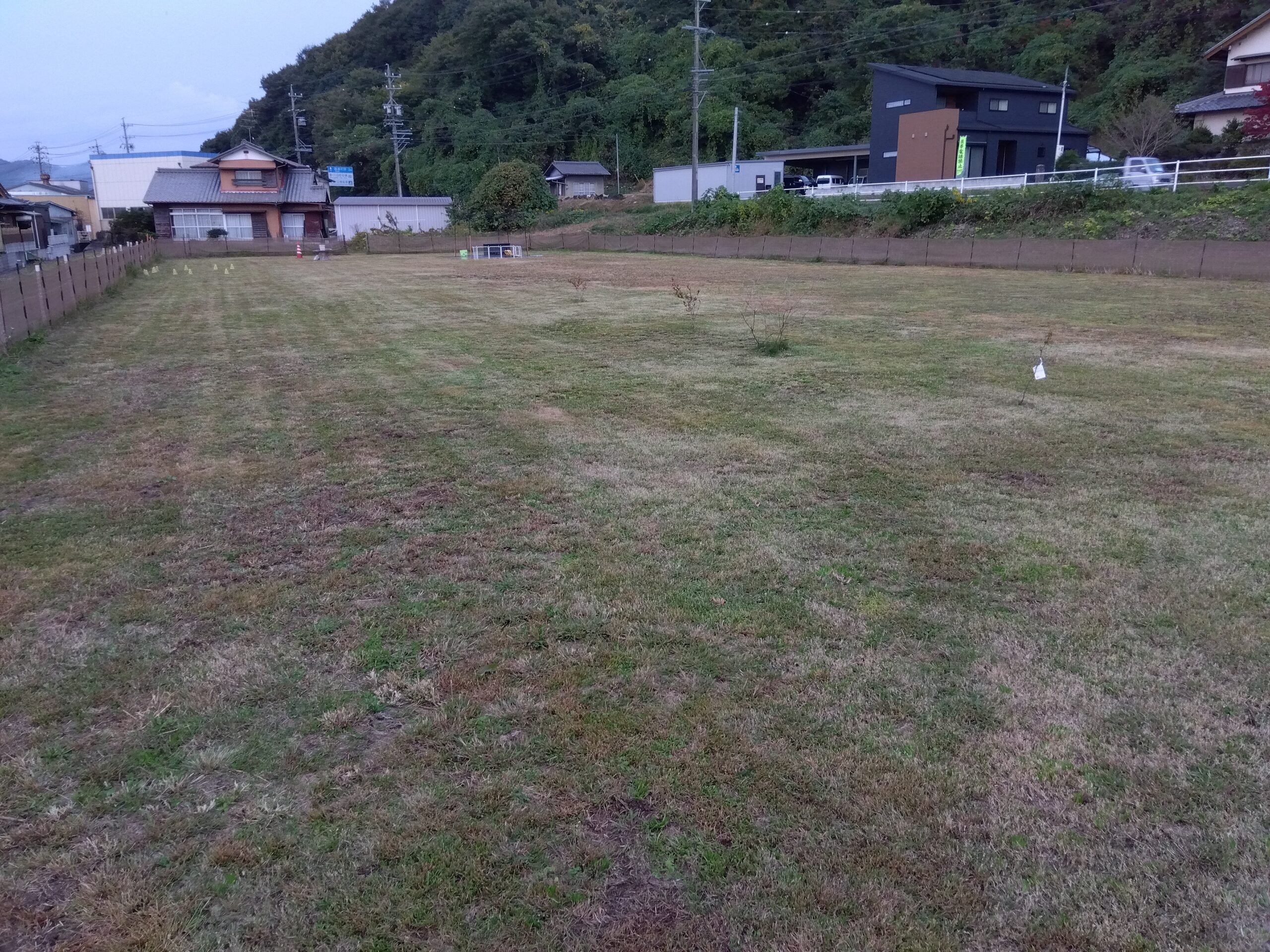 どっぐらん